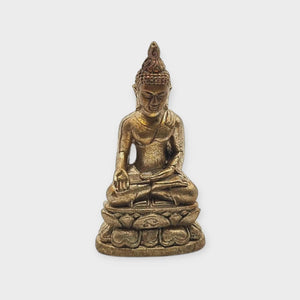Phra Kring Phraireepinas 82nd Birthday Thai Amulet, Wat Bowonniwet BE 2538 (1995) – Blessed by Supreme Patriarch, Authentic Thai Buddha Amulet for Protection & Healing