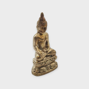 Phra Kring Phraireepinas 82nd Birthday Thai Amulet, Wat Bowonniwet BE 2538 (1995) – Blessed by Supreme Patriarch, Authentic Thai Buddha Amulet for Protection & Healing