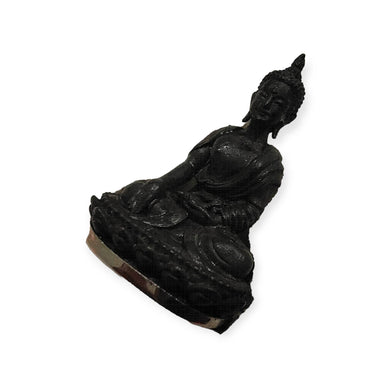 Thai Amulet Phra Kring Ariyasap Lp Sang Medicine Buddha Bring Prosperity Wealth, Come with protective waterproof case