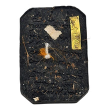 Thai Amulet Phra Somdej Song Kai “Ruay Kai Tone” Edition by LP Maha Sila – Wealth & Prosperity Blessing