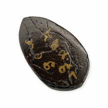 Thai Amulet Mae Nang Pim Pong Takien Yai BE2553 LP Up Wat Thongsai