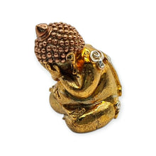Thai Amulet Phra Pidta Ruay Tanjai BE2563 LP Thong 3K Wealth Protection