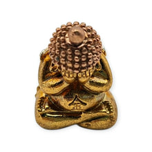 Thai Amulet Phra Pidta Ruay Tanjai BE2563 LP Thong 3K Wealth Protection
