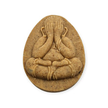 Thai Amulet Phra Pidta Nuaduang LP Maha Sila