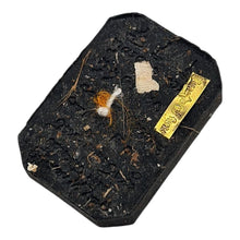 Thai Amulet Phra Somdej Song Kai “Ruay Kai Tone” Edition by LP Maha Sila – Wealth & Prosperity Blessing