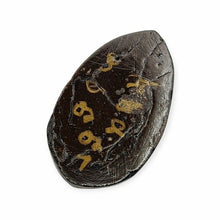 Thai Amulet Mae Nang Pim Pong Takien Yai BE2553 LP Up Wat Thongsai
