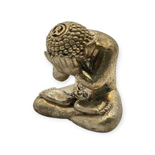 Thai Amulet Phra Pidta Lokuttara LP Phat Alpaca Holy Powder Code 285 Wealth Protection Lucky Charm