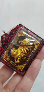 Thai amulets Cat feeding Mouse For Metta Maha Saneah Lucky love charm.