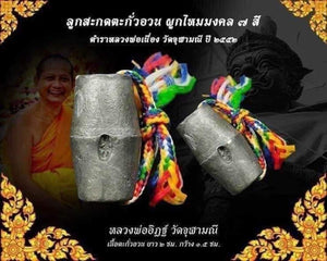 Thai amulet Look Sakod TakueAuan Lp Yit Wat Chulamanee Protection Charm