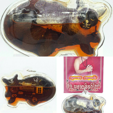 Thai amulets Cat feeding Mouse Prai Sitti Choke edition blessed by Kruba Porn, Wat Pu-hor, Chiangmai province
